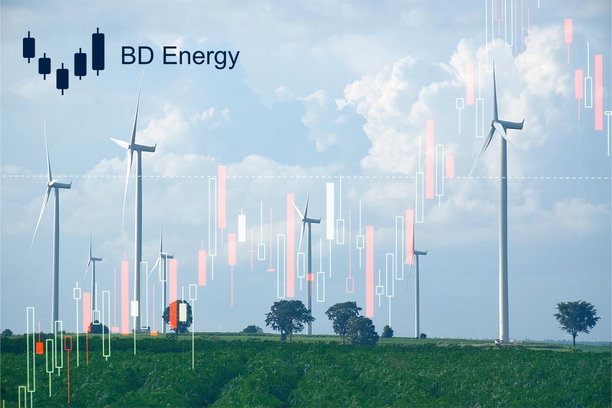 Professionel & æstetisk hjemmeside redesign til BD Energy